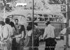 119670.jpg